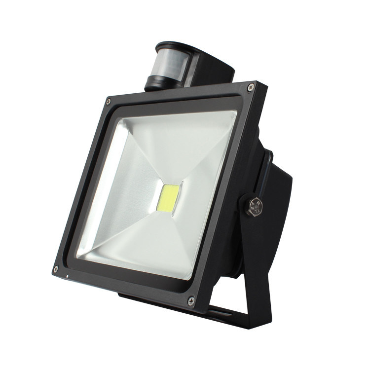 High Lumen Ip65 Led Outside Flood Lights 30w CE ROHS Approved Corrosion Resistant