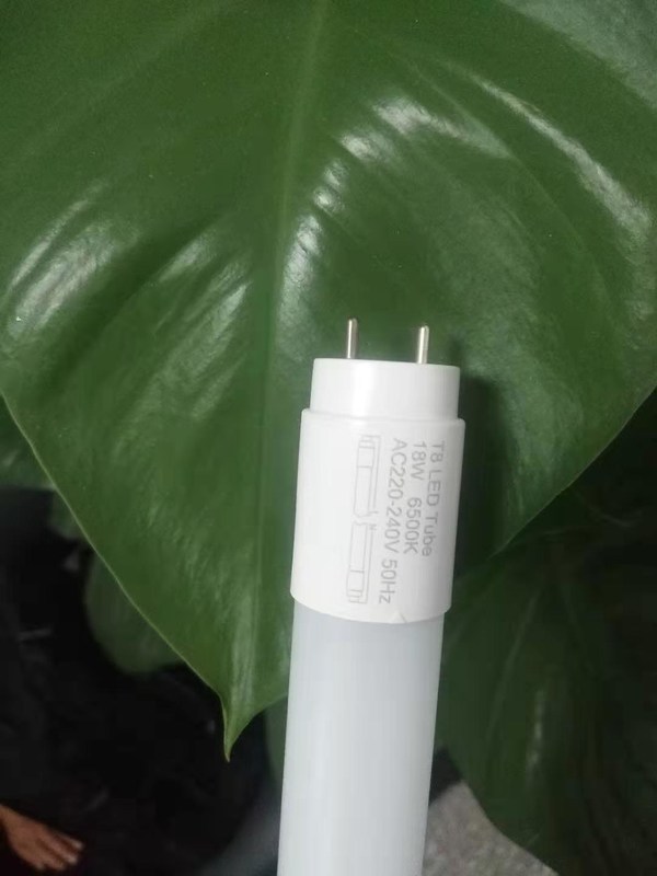 4ft Glass T8 LED Tube Light  , 1200mm T8 LED Tube SMD2835 Source