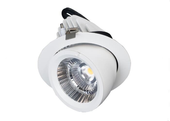 25W 35W 50W 60 Degree Adjustable LED Down Light Rotational Gimbal Aluminum Warm White